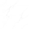 add-LGB80-0001